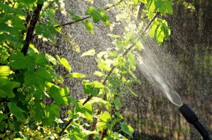 goutte-à-goutte