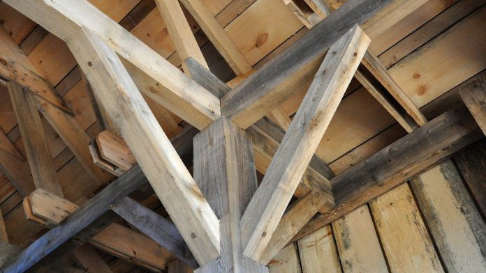 Faites appel à un expert pour le traitement du bois contre les termites